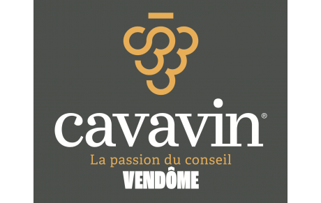 CAVAVIN